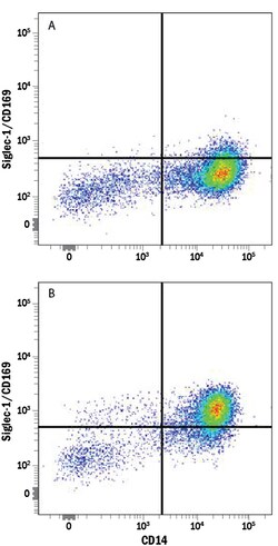 Human Siglec-1/CD169 Alexa Fluor 488-conjugated Antibody, R D Systems 25 Tests | Buy Online | R&D Systems | Fisher Scientific