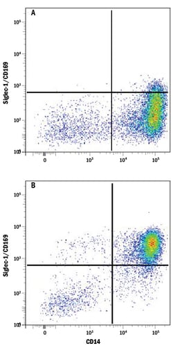 Human Siglec-1/CD169 Antibody, R D Systems 25&mu;g; Unlabeled:Antibodies,