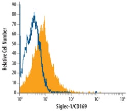 Mouse Siglec-1/CD169 Antibody, R D Systems 100ug; Unlabeled:Antibodies,
