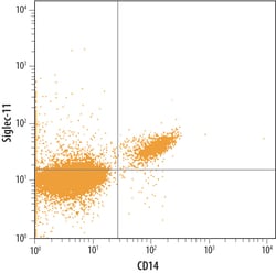 Human Siglec-11 Antibody, R D Systems 25&mu;g; Unlabeled:Antibodies, Polyclonal