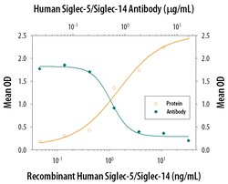 Human Siglec-5/Siglec-14 Antibody, R D Systems 100&mu;g; Unlabeled:Antibodies,