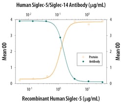 Human Siglec-5/Siglec-14 Antibody, R D Systems 500ug; Unlabeled:Antibodies,