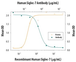 Human Siglec-7/CD328 Antibody, R D Systems 25 &mu;g | Buy Online | R&D Systems | Fisher Scientific