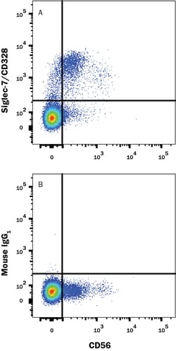 Human Siglec-7/CD328 Alexa Fluor 488-conjugated Antibody, R D Systems 25