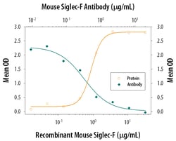 Mouse Siglec-F Antibody, R D Systems:Antibodies:Primary Antibodies