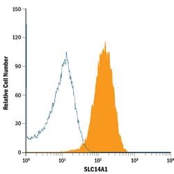 Human SLC14A1 Antibody, R D Systems 25&mu;g; Unlabeled:Antibodies, Monoclonal