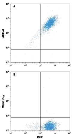 Human SLC14A1 Antibody, R D Systems 25&mu;g; Unlabeled:Antibodies, Monoclonal