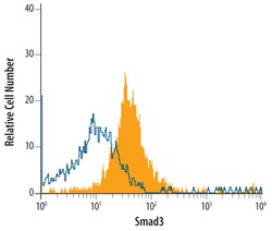 Human Smad3 Antibody, R D Systems 100ug; Unlabeled:Antibodies, Monoclonal