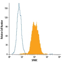 Human SPARC PE-conjugated Antibody, R D Systems 100 Tests; PE:Antibodies,