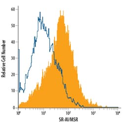 Human SR-AI/MSR APC-conjugated Antibody, R D Systems 100 Tests; APC:Antibodies,
