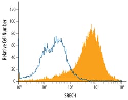 Human SREC-I/SCARF1 Biotinylated Antibody, R D Systems 50&mu;g; Biotin:Anticuerpos