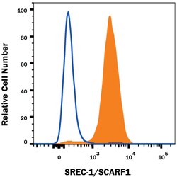 Human SREC-I/SCARF1 Antibody, R D Systems 100ug; Unlabeled:Antibodies,