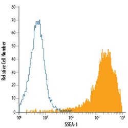 Human/Mouse SSEA-1 PerCP-conjugated Antibody, R D Systems 25 Tests; PerCP:Antibodies,
