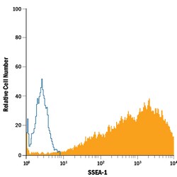 anti-SSEA-1, Alexa Fluor 488, Clone: MC-480, R D Systems:Antibodies:Primary