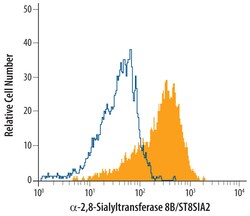 Human ST8 alpha-2,8-Sialyltransferase 8B/ ST8SIA2 Antibody, R D Systems
