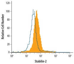 Human Stabilin-2 Antibody, R D Systems 100&mu;g; Unlabeled:Antibodies,