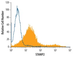 Human STAMP2 Antibody, R D Systems 100ug; Unlabeled:Antibodies, Monoclonal
