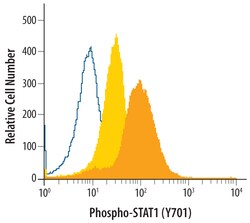 Human/Mouse Phospho-STAT1 (Y701) Antibody, R D Systems 50&mu;g; Unlabeled:Antibodies,