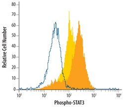 Human Phospho-STAT3 (Y705) Antibody, R D Systems 25&mu;g; Unlabeled:Antibodies,