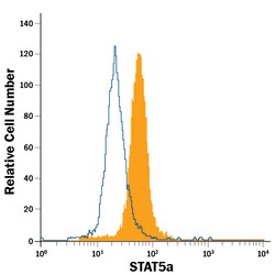 Human STAT5a Fluorescein-conjugated Antibody, R D Systems 100 Tests; Fluorescein:Antibodies,