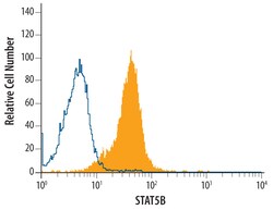 Human STAT5b Antibody, R D Systems 100ug; Unlabeled:Antibodies, Monoclonal