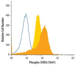 Phospho-STAT6 (Y641) Rabbit anti-Human, Polyclonal, R D Systems 50&mu;g;
