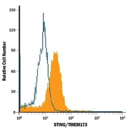Human STING/TMEM173 Antibody, R D Systems 100ug; Unlabeled:Antibodies,