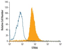 Human STRA6 Antibody, R D Systems 100ug; Unlabeled:Antibodies, Monoclonal