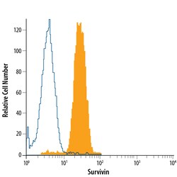anti-Survivin, Fluorescein, Clone: 91630, R D Systems 100 Tests; Fluorescein:Antibodies,