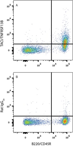 Mouse TACI/TNFRSF13B APC-conjugated Antibody, R D Systems 100 Tests; APC:Antibodies,