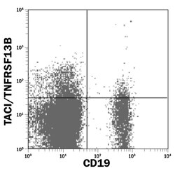 Human TACI/TNFRSF13B PE-conjugated Antibody, R D Systems 100 Tests; PE:Antibodies,
