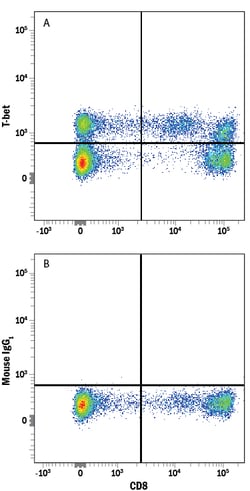 Human T-bet/TBX21 Alexa Fluor 488-conjugated Antibody, R D Systems 25 Tests;