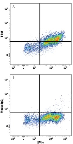 Human T-bet/TBX21 Alexa Fluor 488-conjugated Antibody, R D Systems 25 Tests;