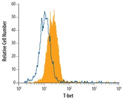 Human T-bet/TBX21 Antibody, R D Systems 100ug; Unlabeled:Antibodies, Monoclonal