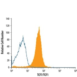 Mouse TCF7/TCF1 Antibody, R D Systems 100ug; Unlabeled:Antibodies, Monoclonal