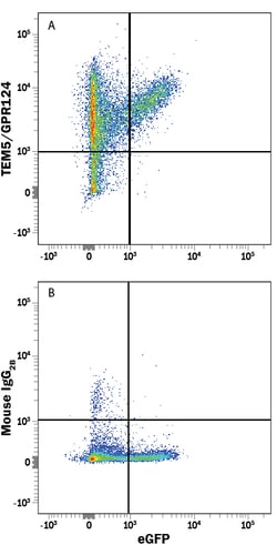 Human TEM5/GPR124 Antibody, R D Systems 25&mu;g; Unlabeled:Antibodies,