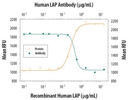 Human LAP (TGF-beta 1) Antibody, R D Systems 100&mu;g; Unlabeled:Antikörper
