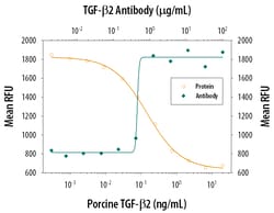 TGF-beta 2 Antibody, R D Systems 1mg; Unlabeled:Antibodies, Polyclonal