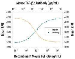 Mouse TGF-beta 2 Antibody, R D Systems 500&mu;g:Antibodies, Monoclonal
