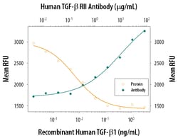 Human TGF-beta RII Antibody, R D Systems 25&mu;g; Unlabeled:Antibodies,