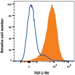 Human TGF-beta RII Antibody, R D Systems 25&mu;g; Unlabeled:Antibodies,