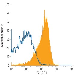 Human TGF-beta RII PerCP-conjugated Antibody, R D Systems:Antibodies:Primary