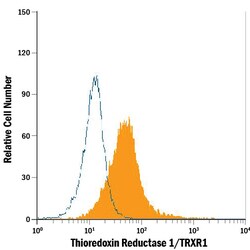 Human/Mouse/Rat Thioredoxin Reductase 1/TRXR1 Antibody, R D Systems 25 &mu;g | Buy Online | R&D Systems | Fisher Scientific