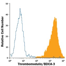 Mouse Thrombomodulin/BDCA-3 PE-conjugated Antibody, R D Systems 100 Tests;