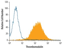 Human Thrombomodulin/BDCA-3 Antibody, R D Systems 100ug; Unlabeled:Antibodies,