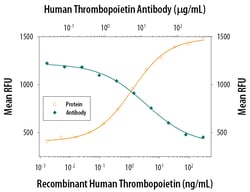 Human Thrombopoietin/Tpo Antibody, R D Systems:Antibodies:Primary Antibodies