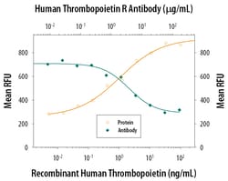 Human Thrombopoietin R/Tpo R Antibody, R D Systems 100&mu;g; Unlabeled:Antikörper