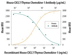 Mouse CXCL7/Thymus Chemokine-1 Antibody, R D Systems 500ug; Unlabeled:Antibodies,
