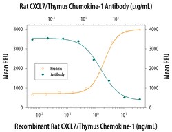 Rat CXCL7/Thymus Chemokine-1 Antibody, R D Systems 500ug; Unlabeled:Antibodies,