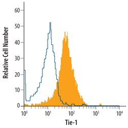 Human Tie-1 Antibody, R D Systems 25&mu;g; Unlabeled:Antibodies, Polyclonal